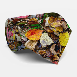 Necktie / autumn leaves