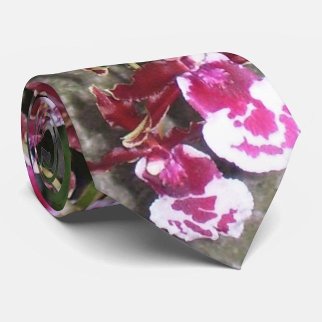 Necktie - Tolumnia Jairak Rainbow Orchid (Rolled)