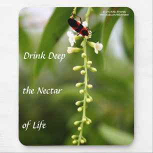 Nectar of Life Mouse Mat