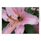 Nectar of the Orient