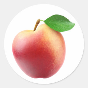 Nectarine peach classic round sticker