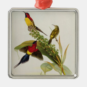 Nectarinia Gouldae Metal Tree Decoration