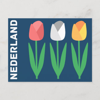 Nederland (Netherlands) Postcard