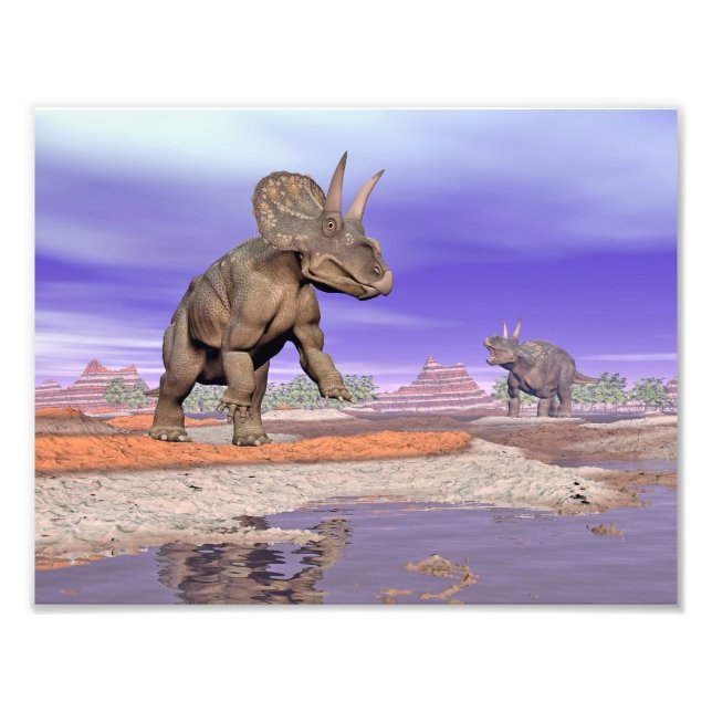 Nedoceratops/diceratops dinosaurs in nature photo print (Front)