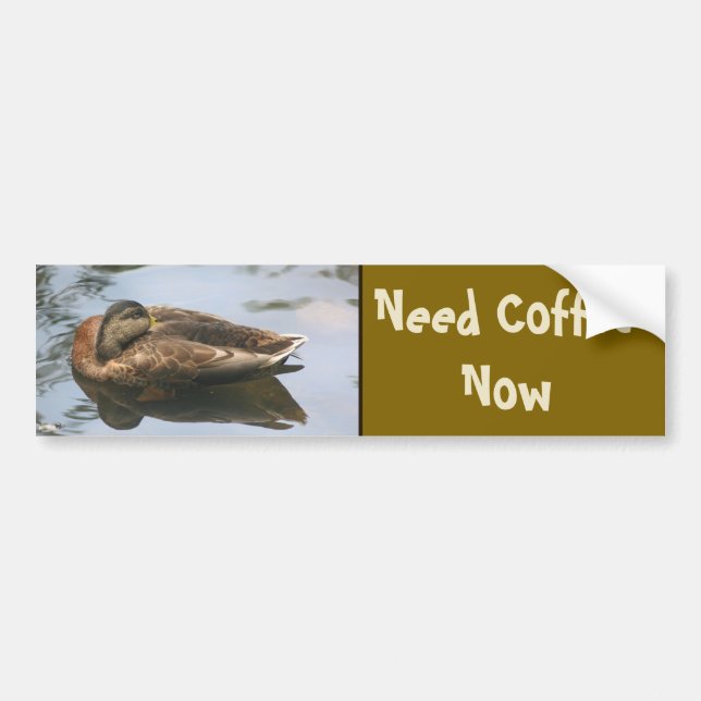 Need Coffee Funny Duck Bumper Sticker (Front)