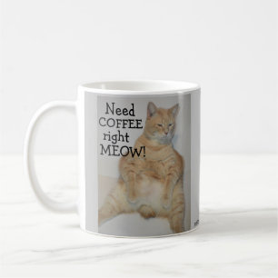 Need Coffee Right Meow! Fat Manx Cat Sitting Funny Mug