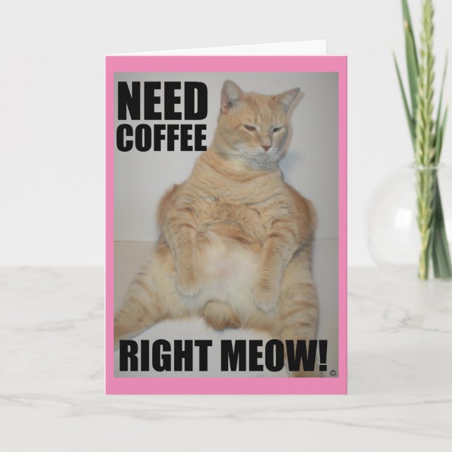 NEED COFFEE RIGHT MEOW! Manx Cat Sitting Funny Card (Front)