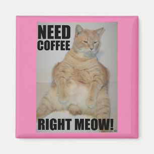 NEED COFFEE RIGHT MEOW! Manx Cat Sitting Funny Magnet