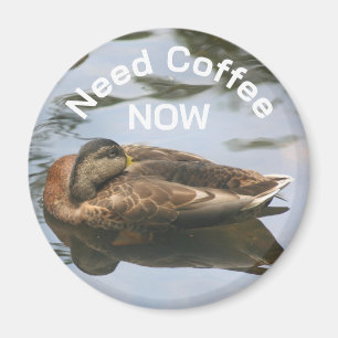 Need Coffee Sleepy Duck Funny Magnet