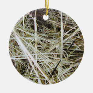 "needle in a haystack" 2 SIDED ornament