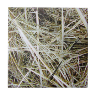 "needle in a haystack" Photo Tile