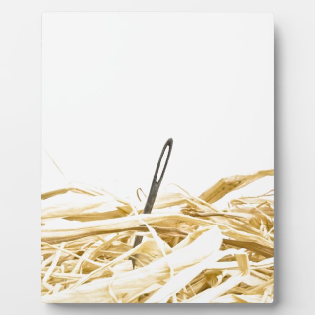 needle in a haystack plaque (Front)