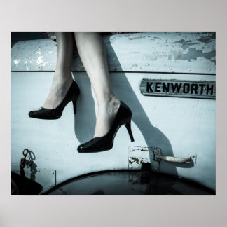 Needlenose and Stilettos Poster