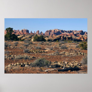 Needles from Pothole Point Trail at Canyonlands Poster
