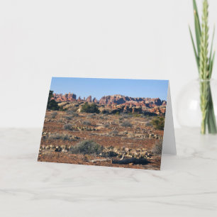 Needles from Pothole Point Trail Card