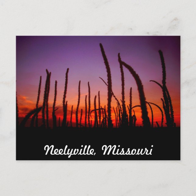Neelyville Missouri Postcard (Front)
