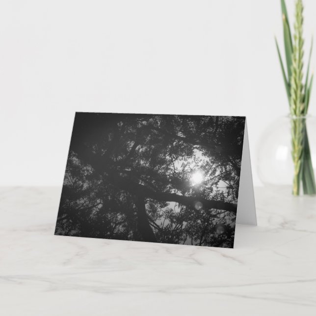 Neem Tree Reflection Card (Front)