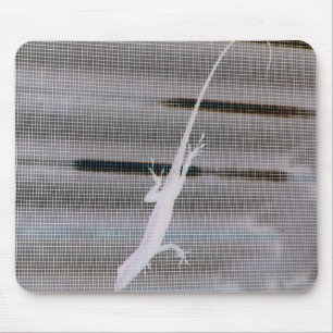 Negative image of a lizard on a window screen mouse mat