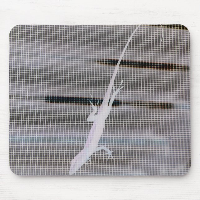 Negative image of a lizard on a window screen mouse mat (Front)