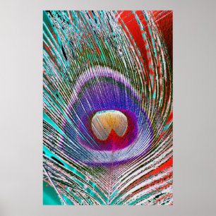 Negative Peacock Feather Poster