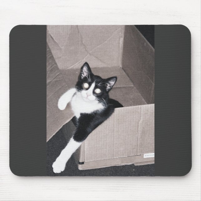 nekoo mouse mat (Front)