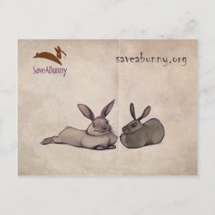 Nellie  and Nesbit postcard