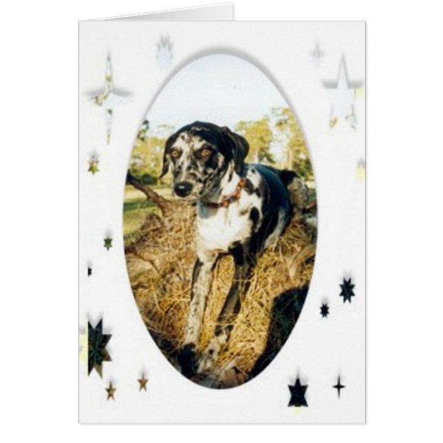 Nellie Stars (Front)