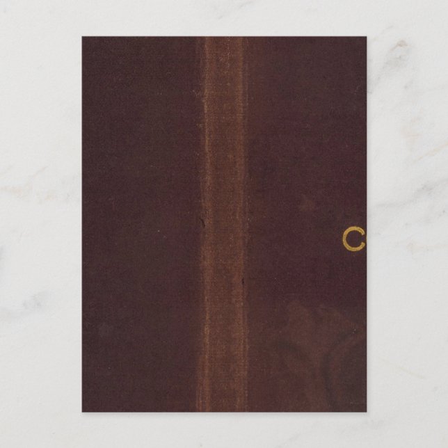 Nell's Topographical Map of Colorado 2 Postcard (Front)