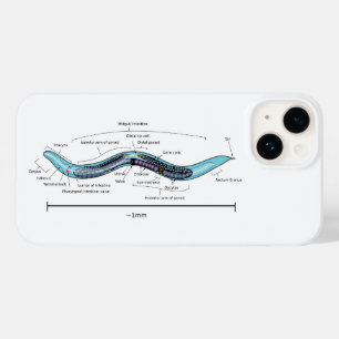 Nematode hermaphrodite Caenorhabditis elegans Case-Mate iPhone 14 Case