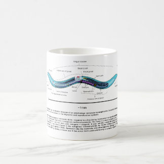 Nematode Roundworm Caenorhabditis Elegans Diagram Coffee Mug
