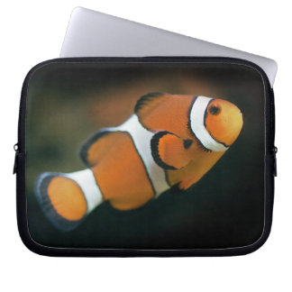 Nemo Laptop Sleeve