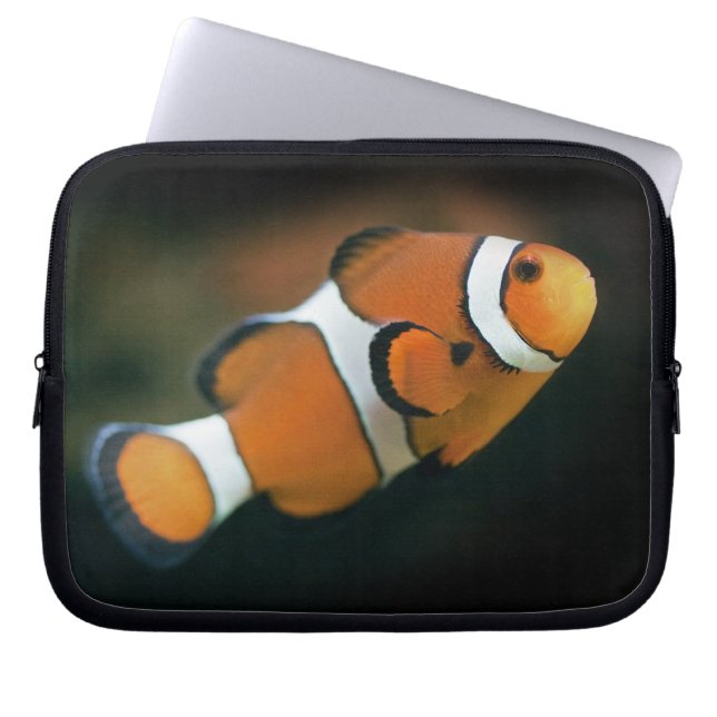 Nemo Laptop Sleeve (Front)