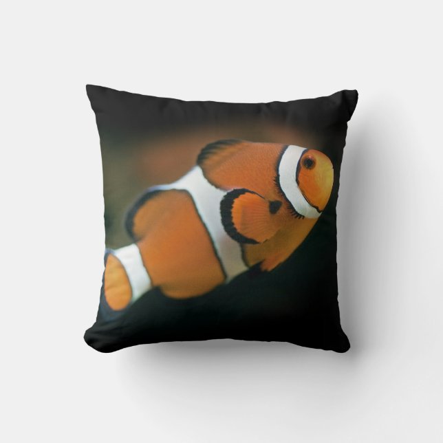 Nemo Pillow (Front)