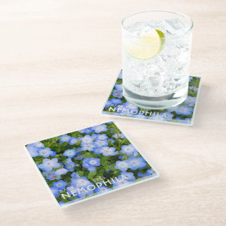 NEMOPHILA(Baby Blue Eyes) Glass Coaster