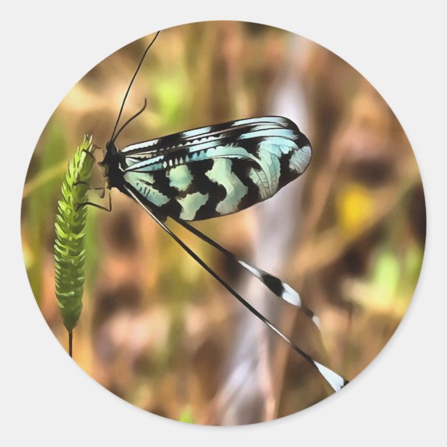 Nemoptera bipennis Spoon-Winged Insect Art Classic Round Sticker (Front)