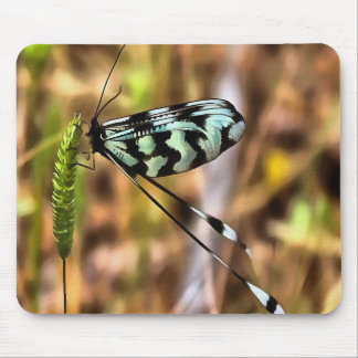 Nemoptera bipennis Spoon-Winged Insect Art Mouse Mat