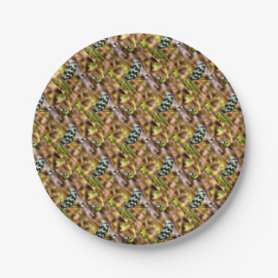 Nemoptera bipennis Spoon-Winged Insect Art Paper Plate