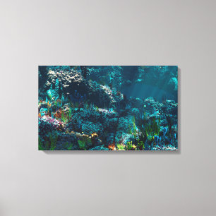 Nemo's Garden Canvas Print