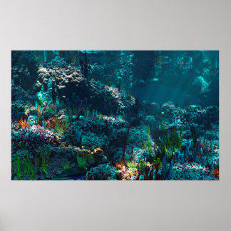 Nemo's Garden Poster