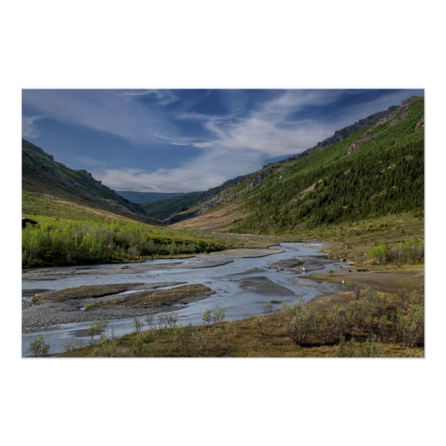 Nenana Riverbed Alaska Poster (Front)