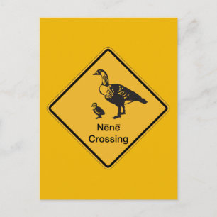 Nene Crossing, Traffic Warning Sign, Hawaii, USA Postcard