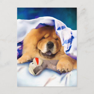 NEO heARTdog chow postcard