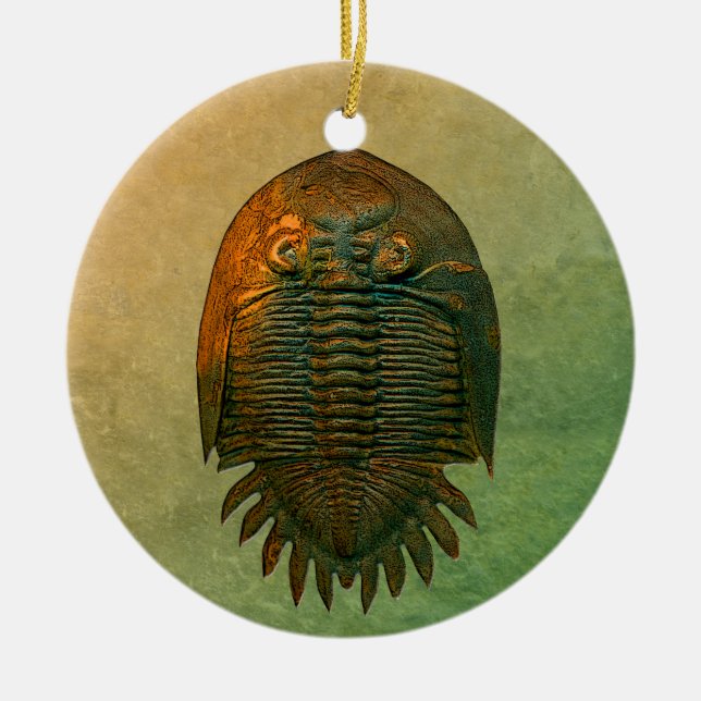 Neometacanthus Fossil Trilobite Ceramic Tree Decoration (Front)