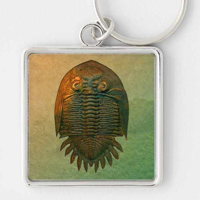 Neometacanthus Fossil Trilobite Key Ring (Front)