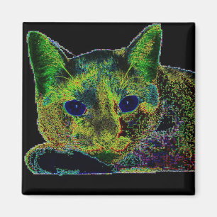 Neon Blue Eyed Cat Magnet