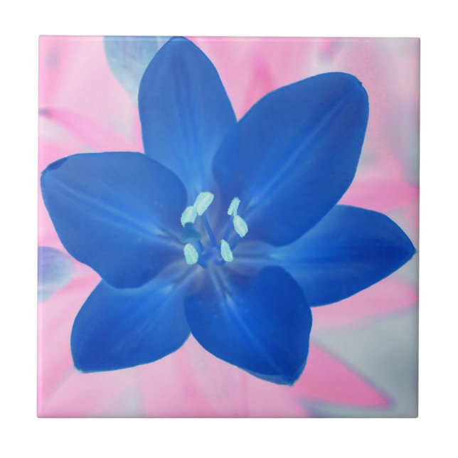 Neon Blue Lily Flower Pink Background Tile (Front)