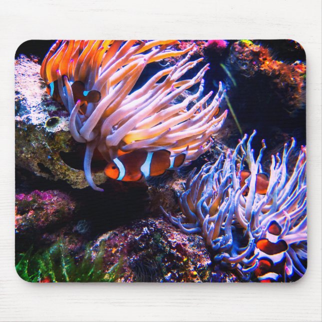 Neon Colours Clown Fishes Mouse Mat (Front)