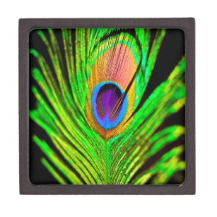 Neon Colours Peacock Feather Keepsake Box