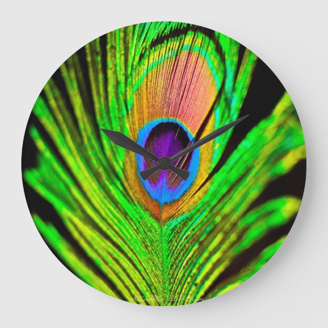 Neon Colours Peacock Feather Large Clock (Front)
