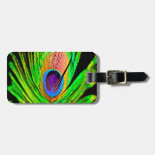 Neon Colours Peacock Feather Luggage Tag
